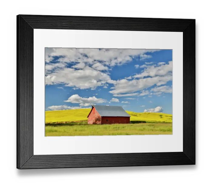 Framed Print : USA, Washington State, Palouse. Canola field and red barn Framed Print : USA, Washington State, Palouse. Canola field and red barn