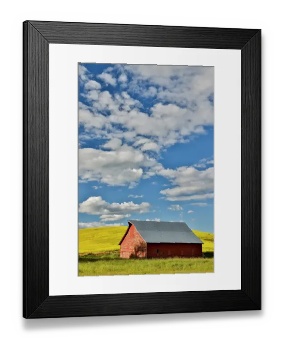 Framed Print : USA, Washington State, Palouse. Canola field and red barn. (Editorial Use Only)
