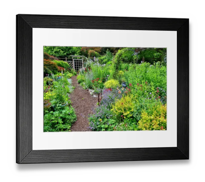 Framed Print : USA, Washington State, Sammamish. Garden in bloom in sunny location Framed Print : USA, Washington State, Sammamish. Garden in bloom in sunny location