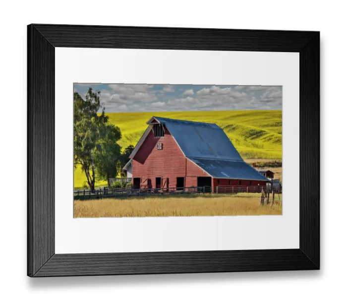 Framed Print : USA, Washington State, Palouse. Canola field and red barn. (Editorial Use Only)