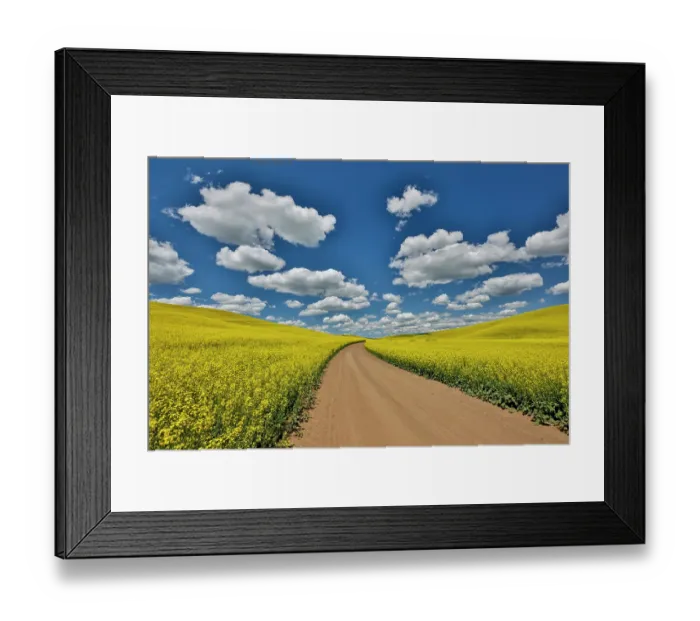 Framed Print : USA, Washington State, Palouse. Dirt road cutting through canola field Framed Print : USA, Washington State, Palouse. Dirt road cutting through canola field