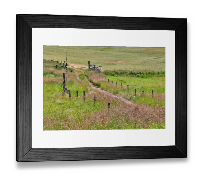 Framed Print : USA, Washington State, Palouse. Two lane dirt road surrounded by fence Framed Print : USA, Washington State, Palouse. Two lane dirt road surrounded by fence
