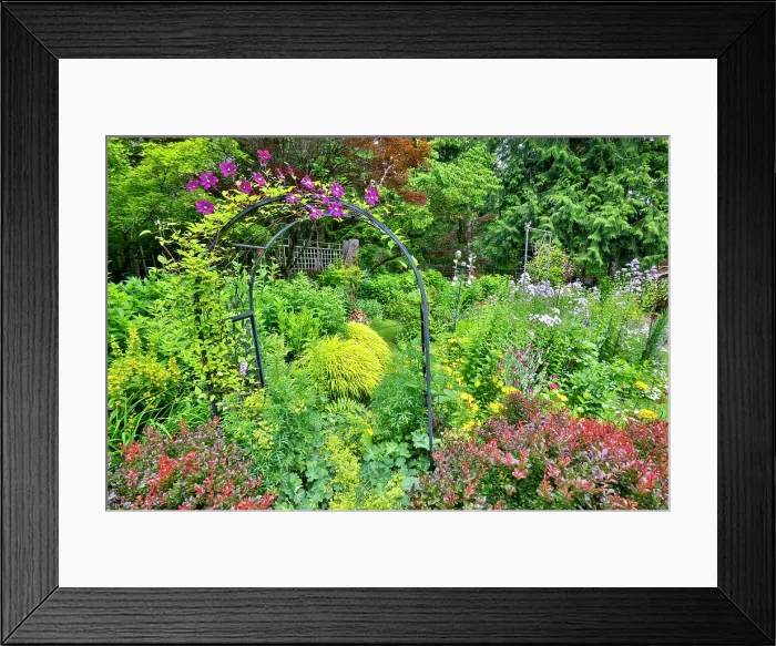 Framed Print : USA, Washington State, Sammamish. Garden in bloom in sunny location Framed Print : USA, Washington State, Sammamish. Garden in bloom in sunny location