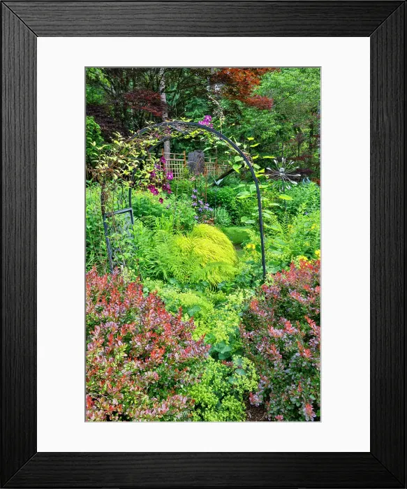 Framed Print : USA, Washington State, Sammamish. Garden in bloom in sunny location