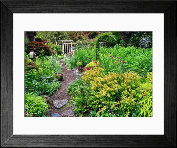 Framed Print : USA, Washington State, Sammamish. Garden in bloom in sunny location