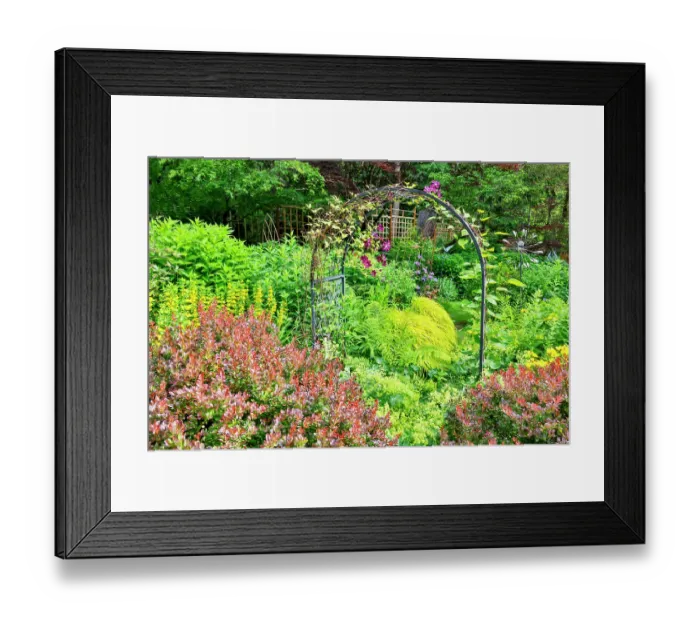 Framed Print : USA, Washington State, Sammamish. Garden in bloom in sunny location