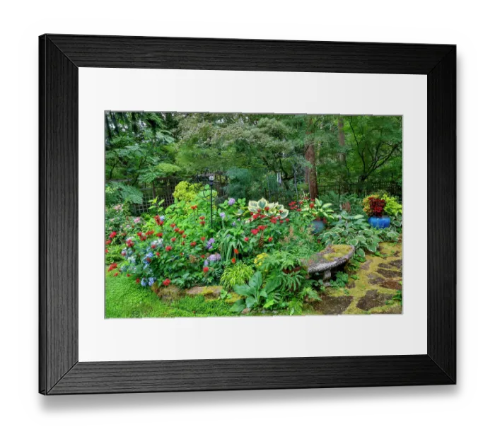 Framed Print : USA, Washington State, Sammamish. Garden in bloom in sunny location
