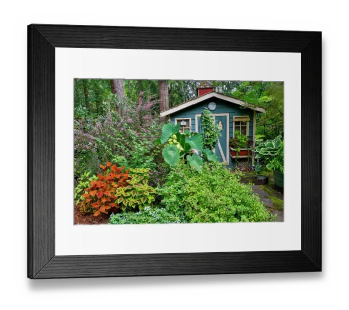 Framed Print : USA, Washington State, Sammamish. Garden and shed. (Editorial Use Only) Framed Print : USA, Washington State, Sammamish. Garden and shed. (Editorial Use Only)