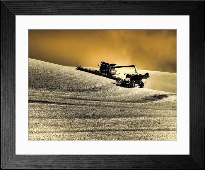 Framed Print : USA, Washington State, Palouse. Infrared combine harvesting on hillside and emptying into loader Framed Print : USA, Washington State, Palouse. Infrared combine harvesting on hillside and emptying into loader