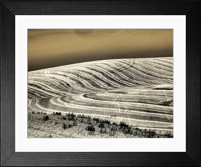 Framed Print : USA, Washington State, Palouse. Infrared of field patterns Framed Print : USA, Washington State, Palouse. Infrared of field patterns