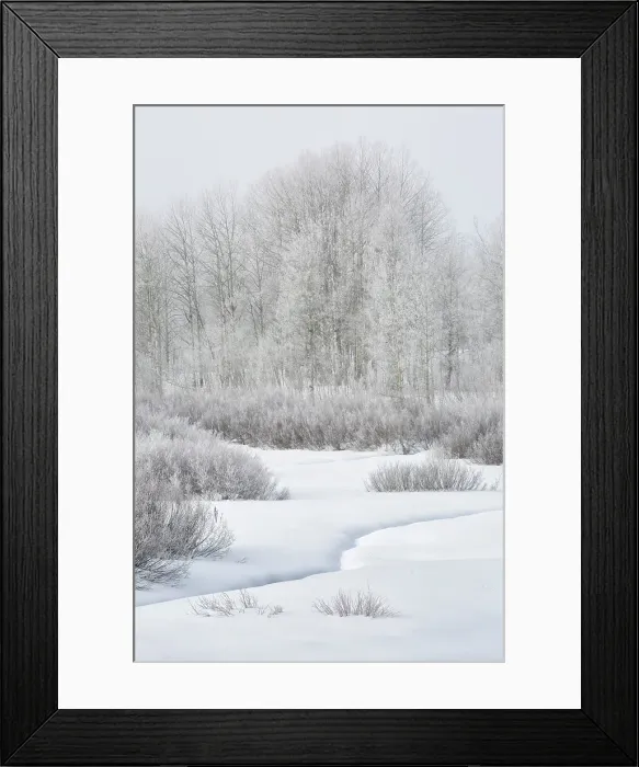 Framed Print : USA, Wyoming, Grand Teton National Park, Jackson. Fog, snow, and frosty aspen trees at Oxbow Bend Framed Print : USA, Wyoming, Grand Teton National Park, Jackson. Fog, snow, and frosty aspen trees at Oxbow Bend