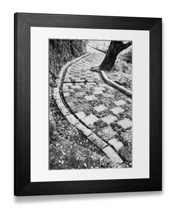 Framed Print : Asia, Japan, Hakone. Walkway by Lake Ashinoko