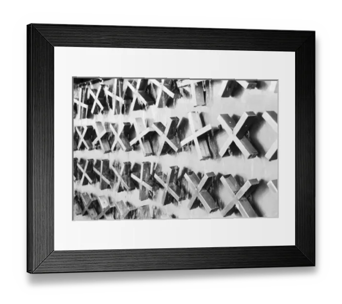 Framed Print : Asia, Japan, Tokyo. The X Fountain, Ueno