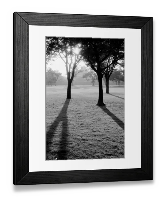 Framed Print : Asia, Japan, Kumamoto. Sunrise over Kumamoto, jo Castle Framed Print : Asia, Japan, Kumamoto. Sunrise over Kumamoto, jo Castle