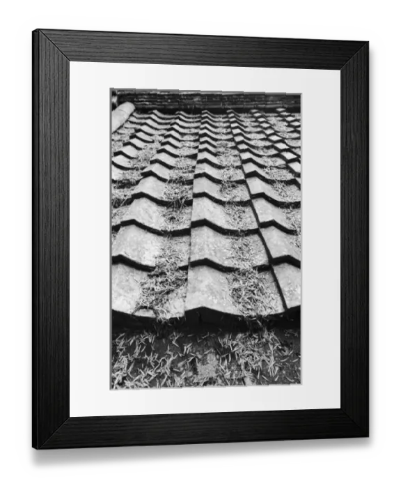 Framed Print : Asia, Japan, Miyajima. Clay roof detail Framed Print : Asia, Japan, Miyajima. Clay roof detail