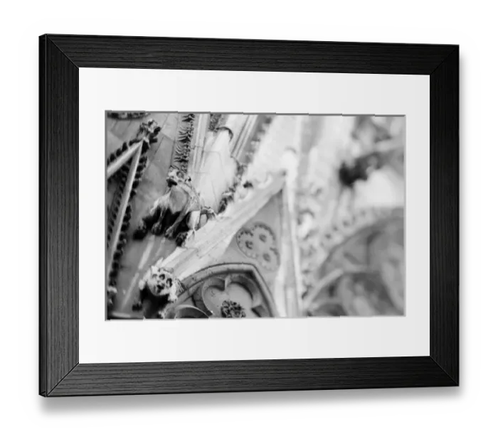 Framed Print : Europe, France, Paris. Detail: sculpture on Notre Dame