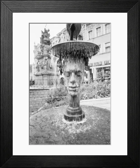 Framed Print : CZECH REPUBLIC, West Bohemia, Karlovy Vary Ornate Fountain by the Mill Colonade