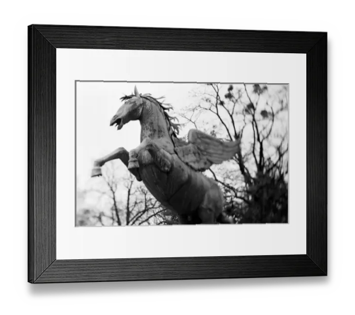 Framed Print : Europe, Austria, Salzburg. Winged horse statue, Mirabellgarten