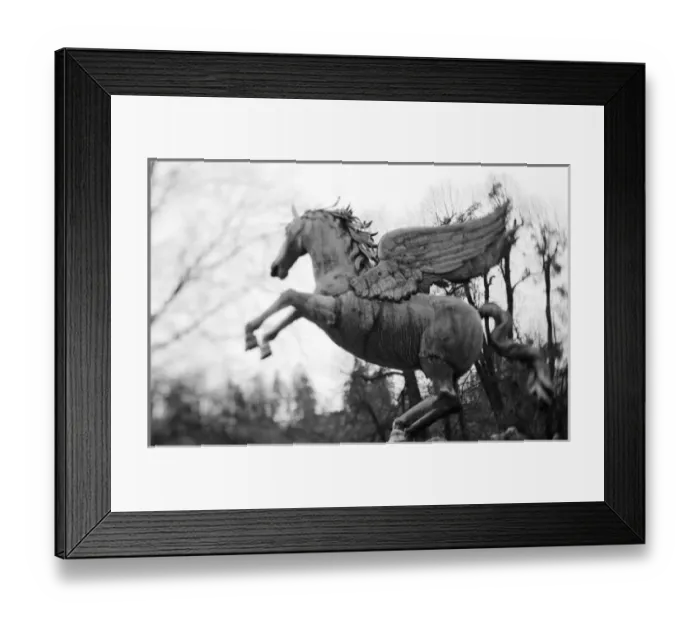 Framed Print : Europe, Austria, Salzburg Framed Print : Europe, Austria, Salzburg