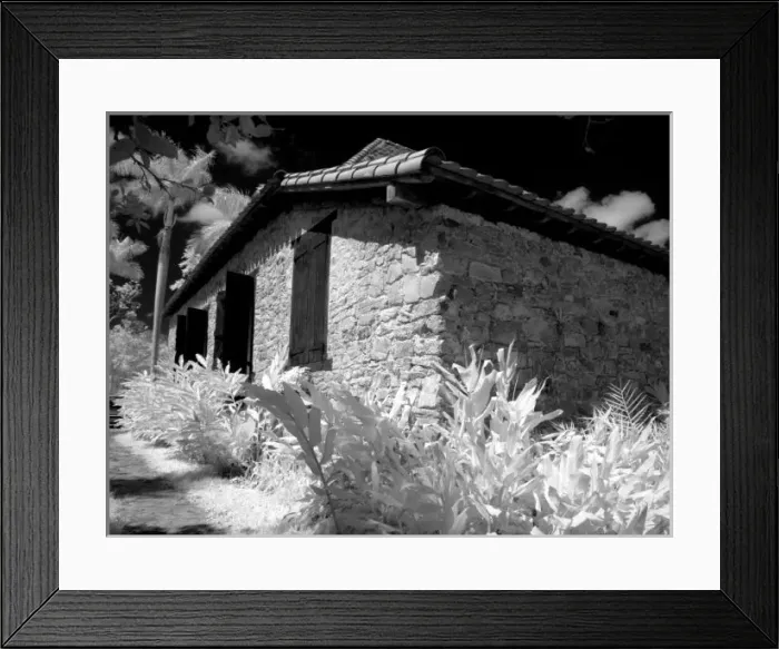 Framed Print : Infra Red image of Buena Vista Coffee Plantation in country in Sierra del Rosario Framed Print : Infra Red image of Buena Vista Coffee Plantation in country in Sierra del Rosario