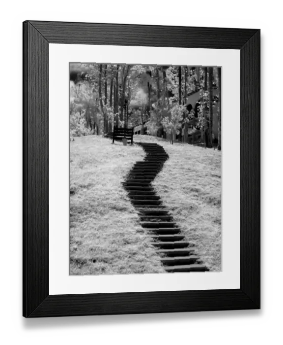 Framed Print : Infra red of trees buildings and trails in Las Terrazas nature reserve in Cuba Framed Print : Infra red of trees buildings and trails in Las Terrazas nature reserve in Cuba