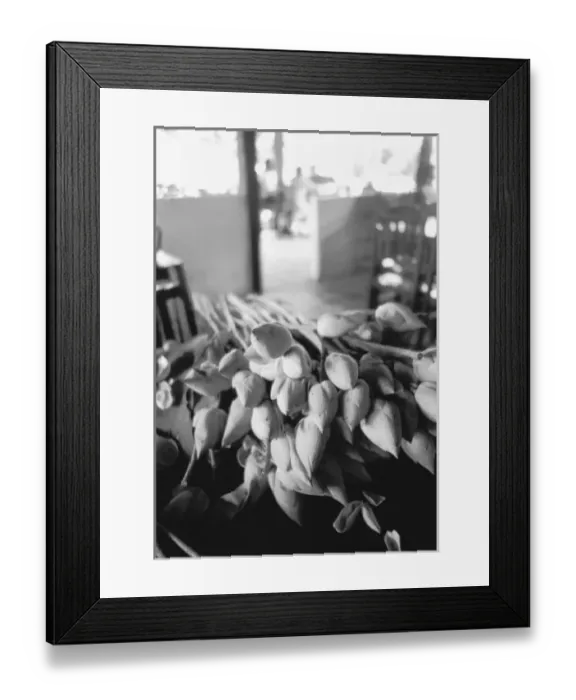Framed Print : Siem Reap Cambodia, Lotus Flowers Framed Print : Siem Reap Cambodia, Lotus Flowers