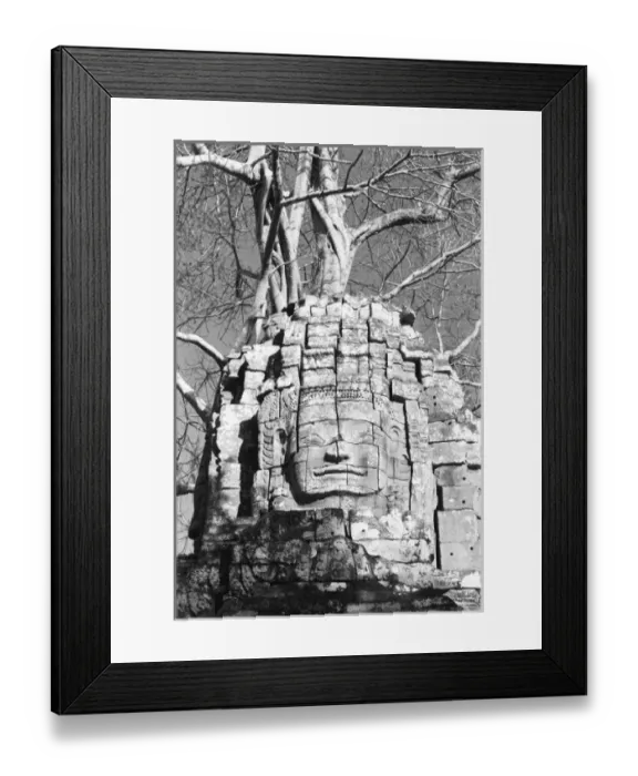 Framed Print : Angkor Cambodia, Head Ta Som Temple Framed Print : Angkor Cambodia, Head Ta Som Temple