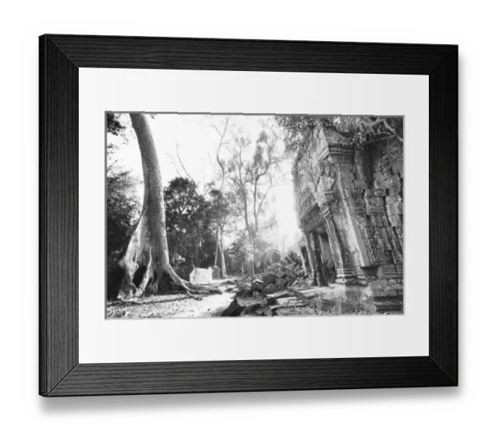 Framed Print : Angkor Cambodia, Details Ta Prohm Framed Print : Angkor Cambodia, Details Ta Prohm