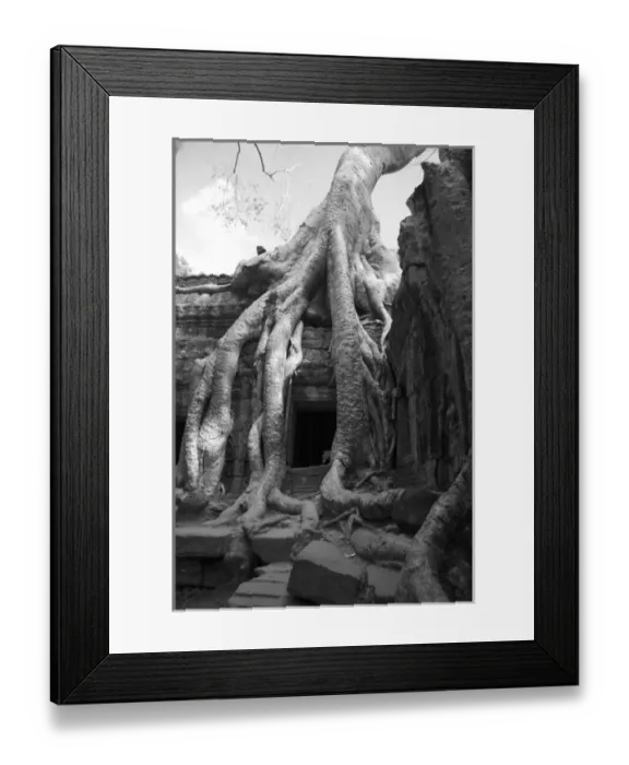 Framed Print : Siam Reap, Cambodia. Just outside of Siam Reap, the UNESECO World Herritage site Framed Print : Siam Reap, Cambodia. Just outside of Siam Reap, the UNESECO World Herritage site