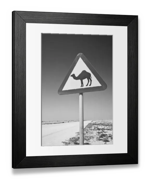 Framed Print : Qatar, Al Zubarah. Camel Crossing Sign-Road to Al-Zubarah NW Qatar Framed Print : Qatar, Al Zubarah. Camel Crossing Sign-Road to Al-Zubarah NW Qatar