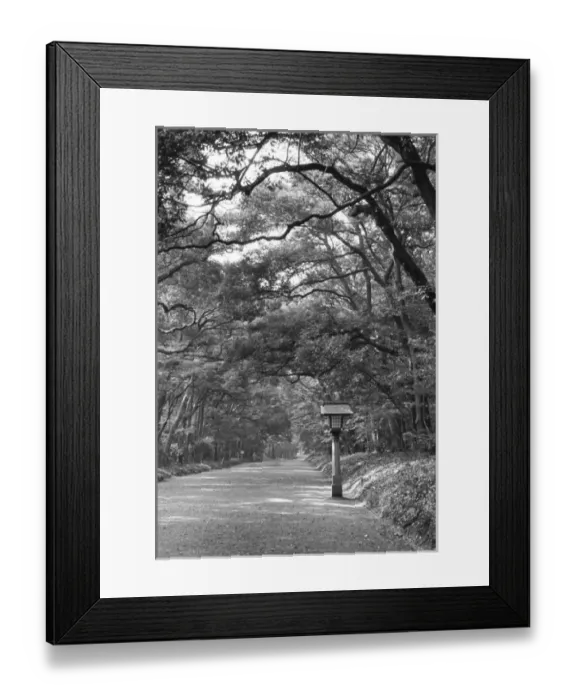 Framed Print : Asia, Japan, Tokyo, Grounds of Meiji Shrine, Black and white image