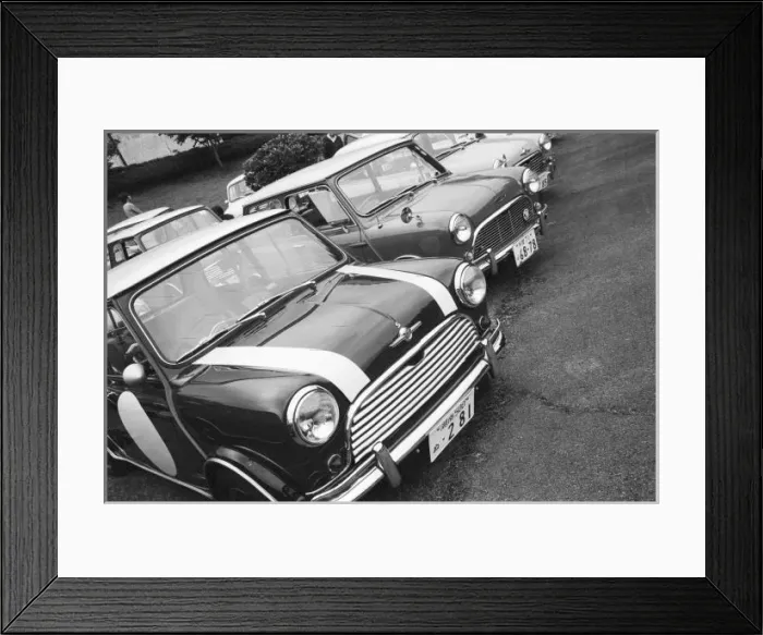 Framed Print : Asia, Japan, Gotemba. Gotemba Ferrari Museum; rally of English Minis