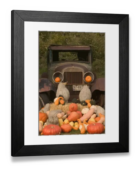 Framed Print : CANADA, British Columbia, Keremeos. Autumn  /  Harvest  /  Pumpkins, Okanagan Valley