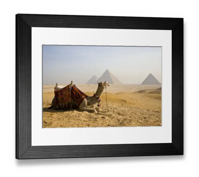 Framed Print : Egypt, Cairo. A Framed Print : Egypt, Cairo. A