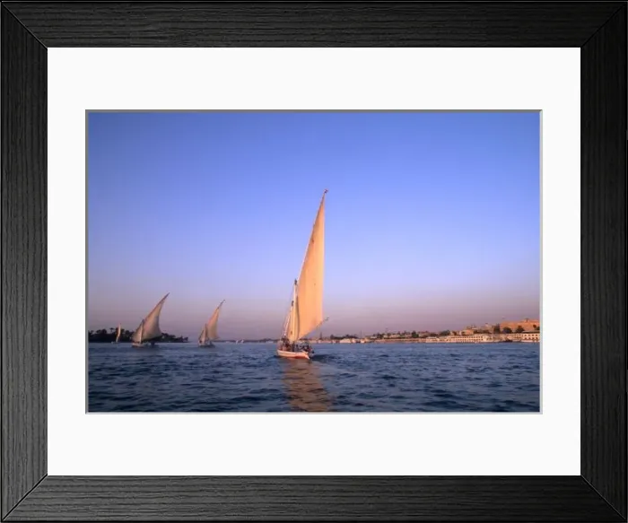 Framed Print : Beautiful sail boats riding along the famous Nile River in Cairo Egypt Framed Print : Beautiful sail boats riding along the famous Nile River in Cairo Egypt