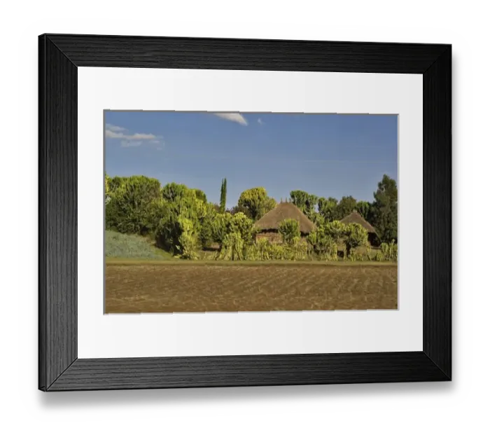 Framed Print : A farmed field in front of thatched roof houses surrounded by catus along the main