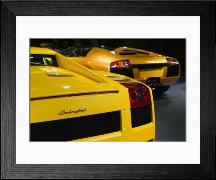 Framed Print : USA, California