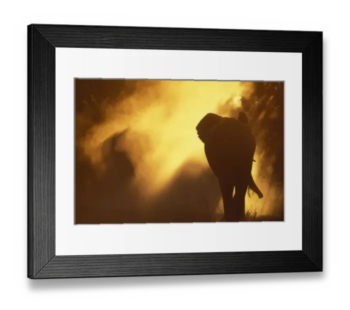 Framed Print : Africa, Botswana Framed Print : Africa, Botswana