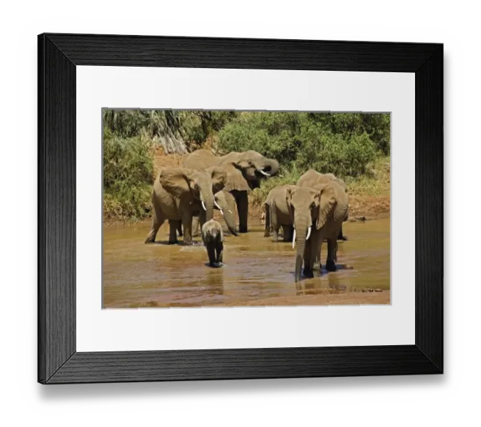 Framed Print : Africa, Kenya Framed Print : Africa, Kenya