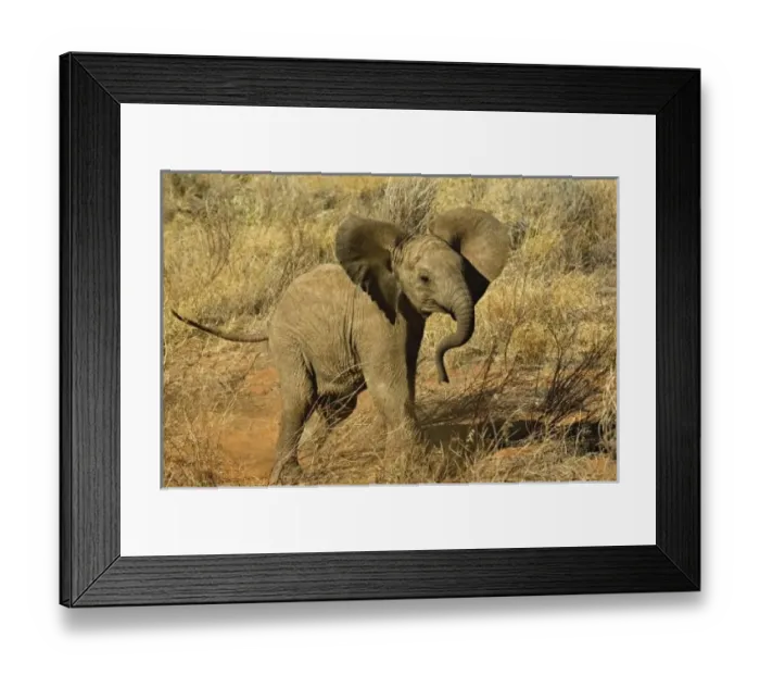 Framed Print : Africa, Kenya Framed Print : Africa, Kenya