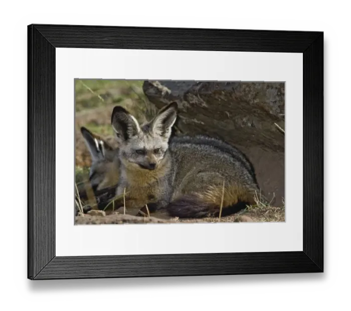 Framed Print : Africa, Kenya Framed Print : Africa, Kenya