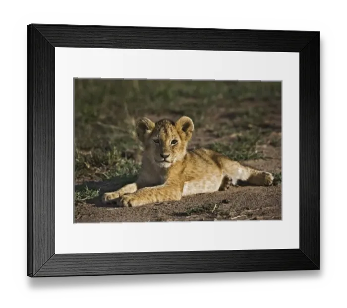 Framed Print : Africa, Kenya Framed Print : Africa, Kenya