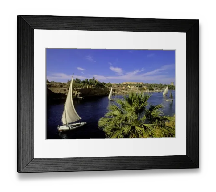 Framed Print : Africa, Egypt, Upper Egypt, Aswan. Feluccas sailing on the Nile River Framed Print : Africa, Egypt, Upper Egypt, Aswan. Feluccas sailing on the Nile River