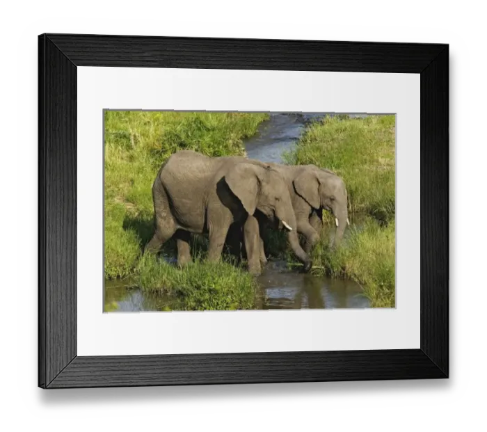 Framed Print : Pair of African Framed Print : Pair of African