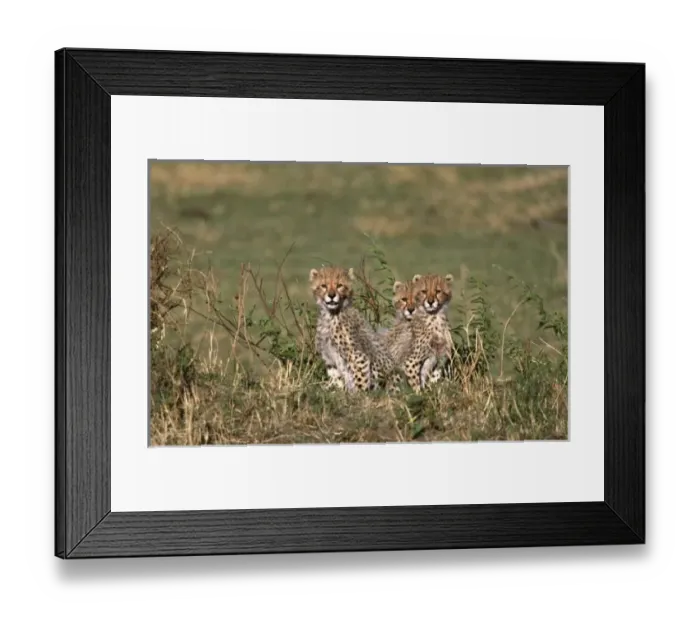 Framed Print : Africa; Kenya Framed Print : Africa; Kenya