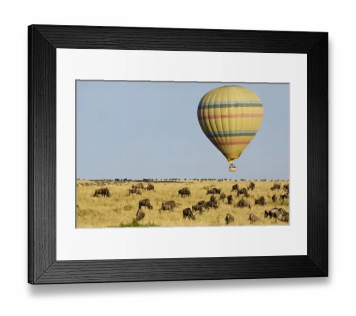 Framed Print : Kenya, Masai Mara Framed Print : Kenya, Masai Mara