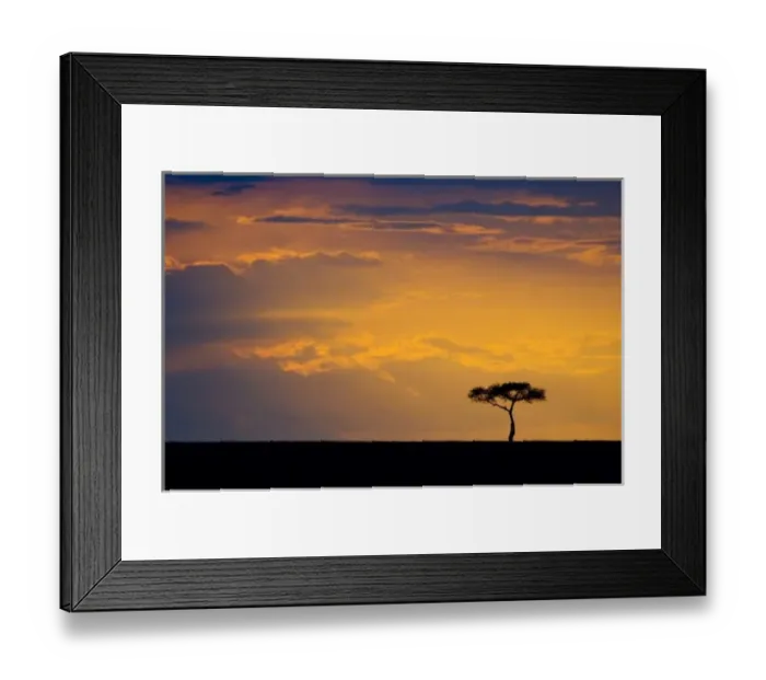 Framed Print : Africa, Kenya, Masai Mara. Sunrise silhouettes small acacia tree. Credit as: Dennis Framed Print : Africa, Kenya, Masai Mara. Sunrise silhouettes small acacia tree. Credit as: Dennis