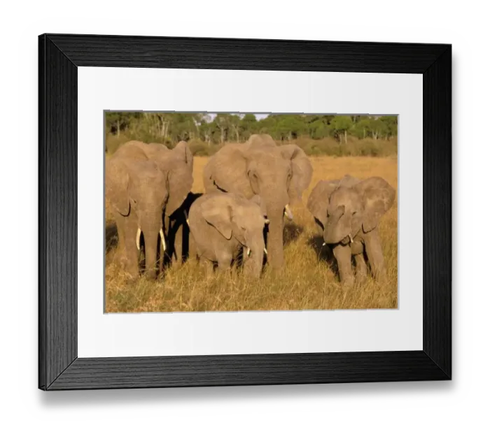 Framed Print : Africa, Kenya