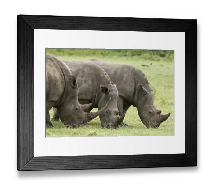 Framed Print : Africa, Kenya