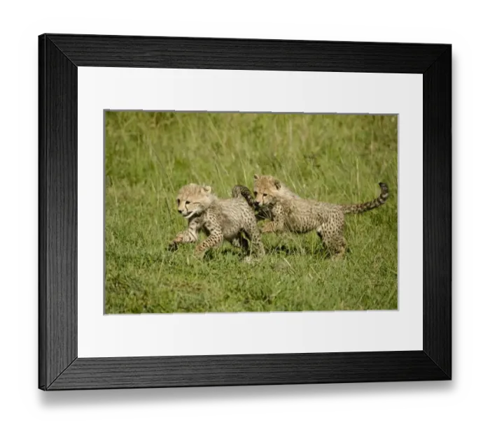 Framed Print : Africa, Kenya Framed Print : Africa, Kenya